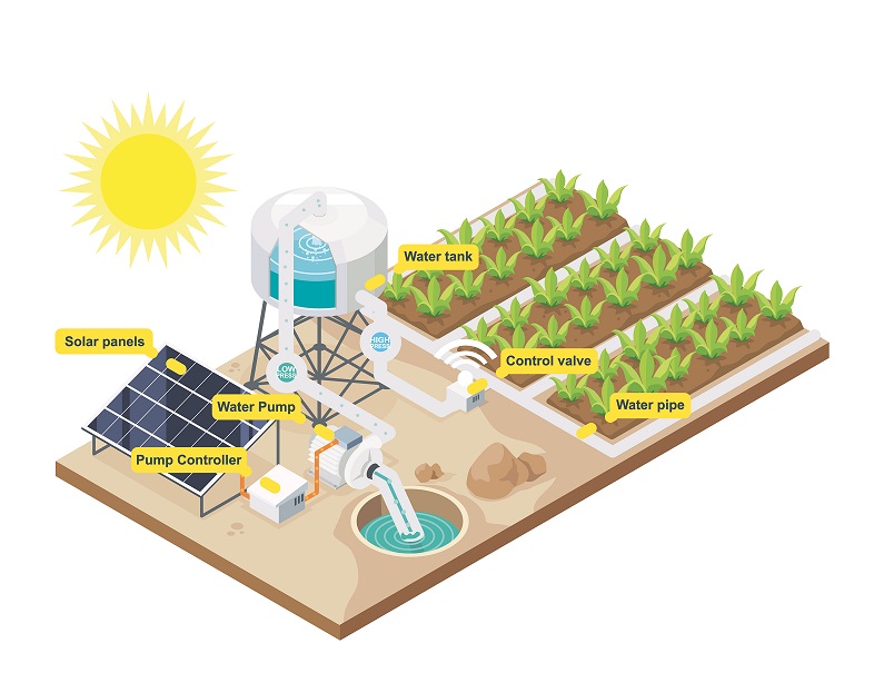 Agricultural Applications Of Solar Energy - India Solar Rooftop